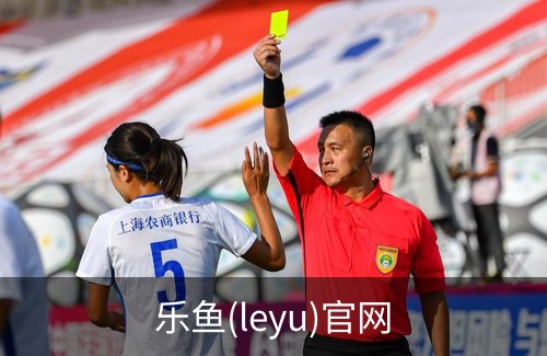 乐鱼(leyu)官网简介